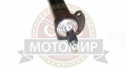 Большая Картинка