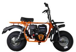 Большая Картинка