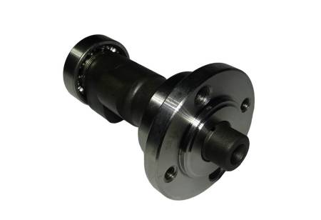 Большая Картинка