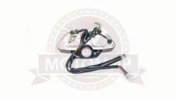 Большая Картинка