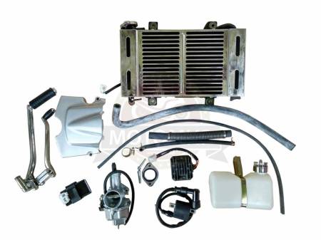 Большая Картинка