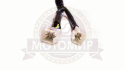 Большая Картинка