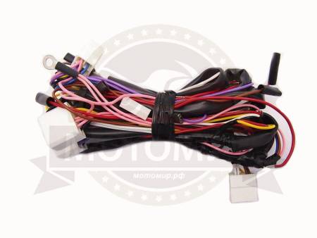 Большая Картинка