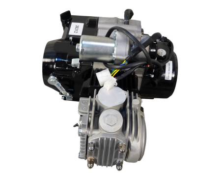 Большая Картинка