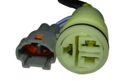 Большая Картинка