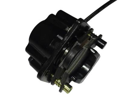 Большая Картинка