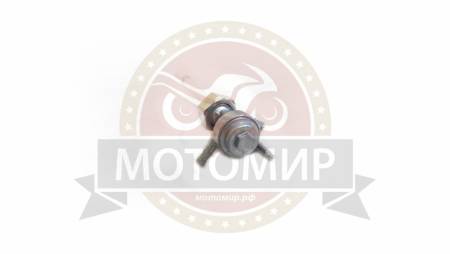 Большая Картинка