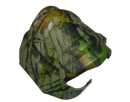 Большая Картинка