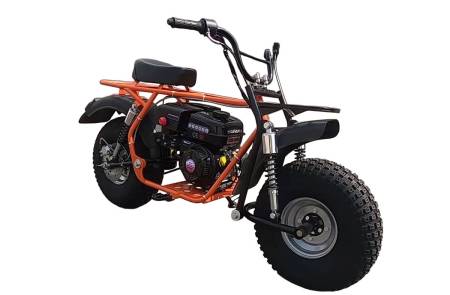 Большая Картинка