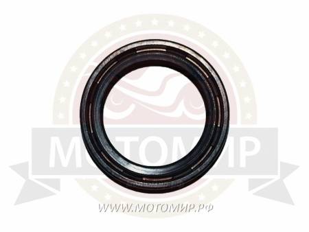 Большая Картинка