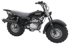 Большая Картинка