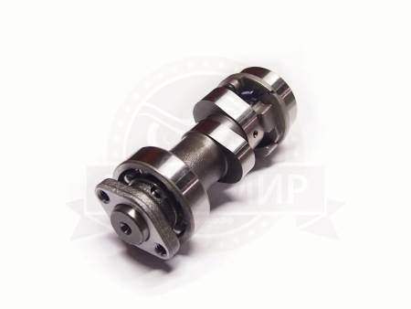 Большая Картинка Большая Картинка