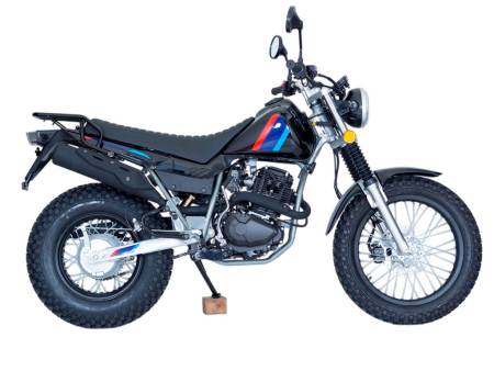 Большая Картинка