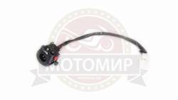 Большая Картинка