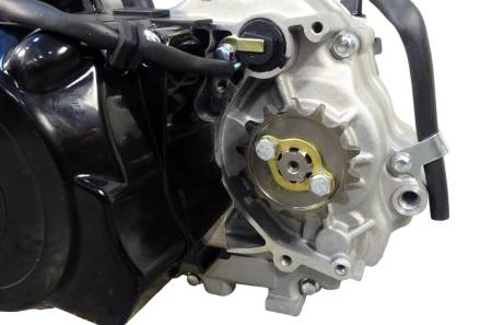 Большая Картинка