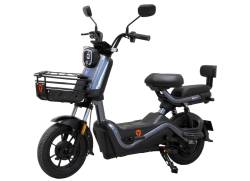 Большая Картинка