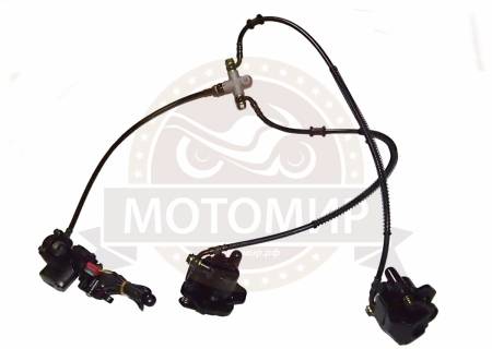 Большая Картинка