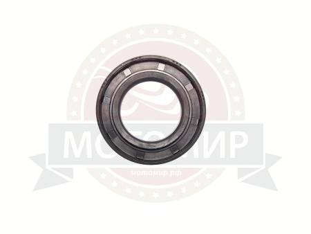 Большая Картинка