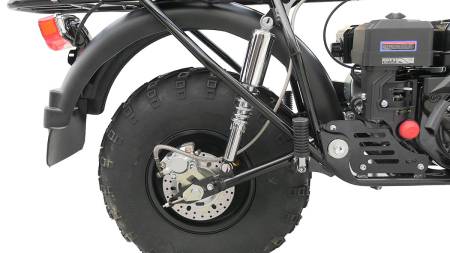 Большая Картинка