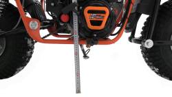 Большая Картинка