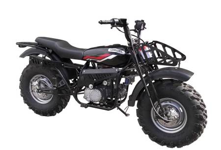 Большая Картинка