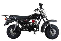 Большая Картинка