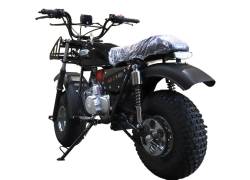 Большая Картинка