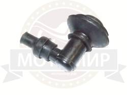 Большая Картинка