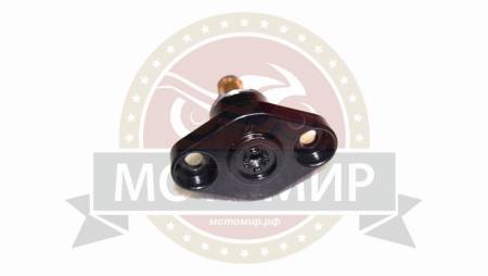 Большая Картинка