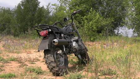 Большая Картинка