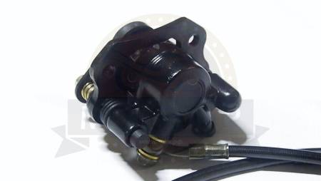 Большая Картинка