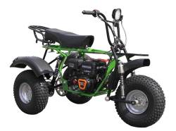 Большая Картинка