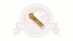 Большая Картинка