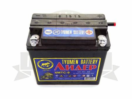 Большая Картинка