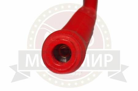 Большая Картинка