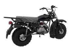 Большая Картинка