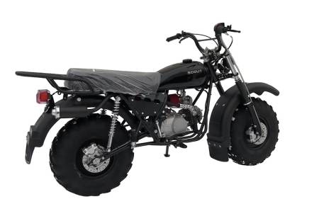 Большая Картинка