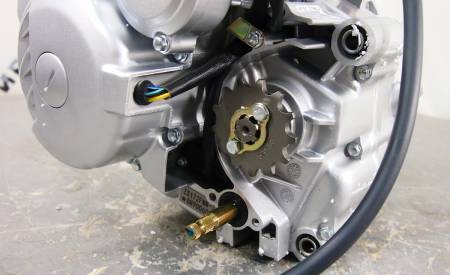 Большая Картинка