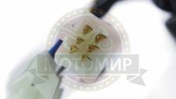 Большая Картинка