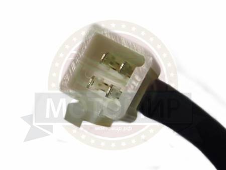 Большая Картинка