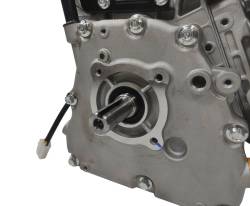 Большая Картинка