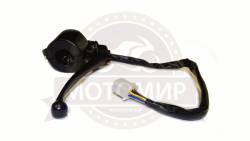 Большая Картинка