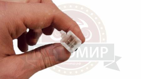 Большая Картинка