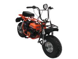 Большая Картинка