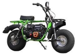 Большая Картинка