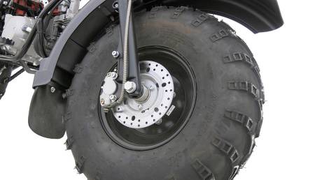 Большая Картинка