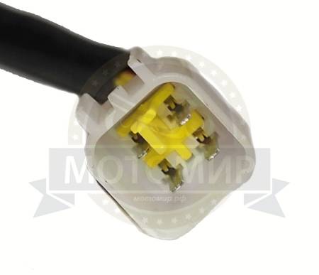 Большая Картинка