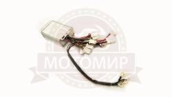 Большая Картинка