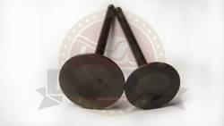 Большая Картинка