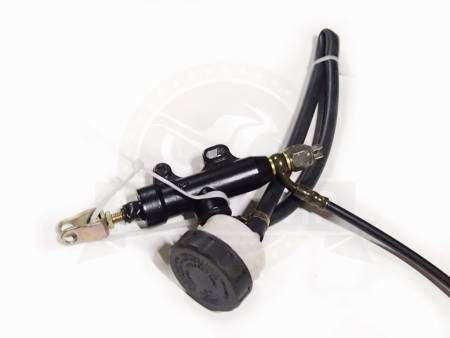 Большая Картинка